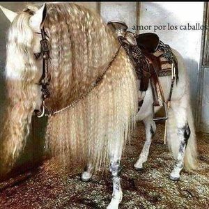 Meet your Posher, Checo